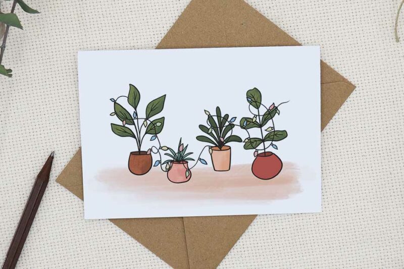 House plants decorated in Christmas Lights